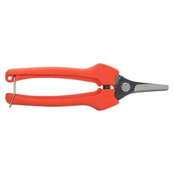 TESOURA VINDIMA P127-19