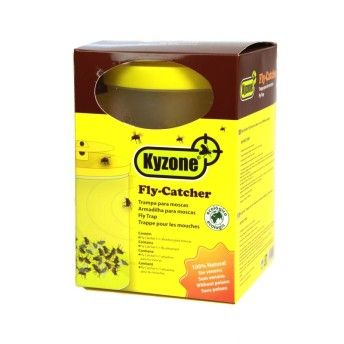 CONJUNTO FLY CATCHER