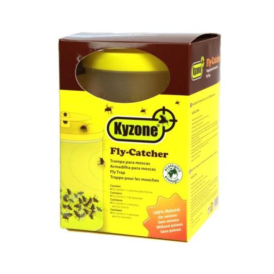 CONJUNTO FLY CATCHER