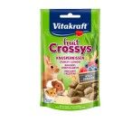 SNACK FRUIT CROSSYS COELHO INDIA 50GR SNACK FRUIT CROSSYS COELHO INDIA 50GR