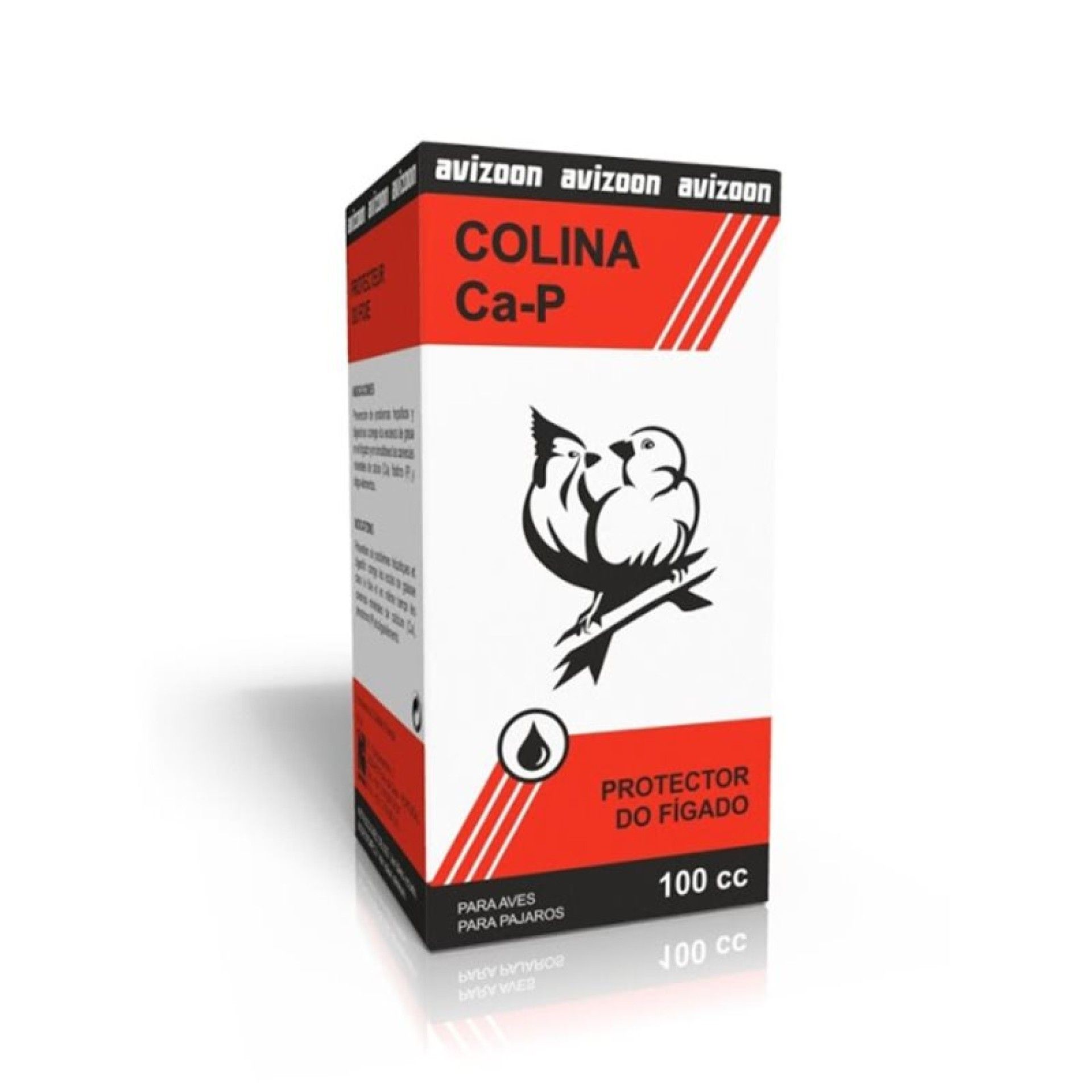 PROTETOR HEPATICO COLINA 100ML PROTETOR HEPATICO COLINA 100ML