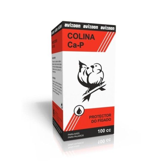 PROTETOR HEPATICO COLINA 100ML PROTETOR HEPATICO COLINA 100ML