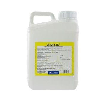 CETOSIL SG 5LT