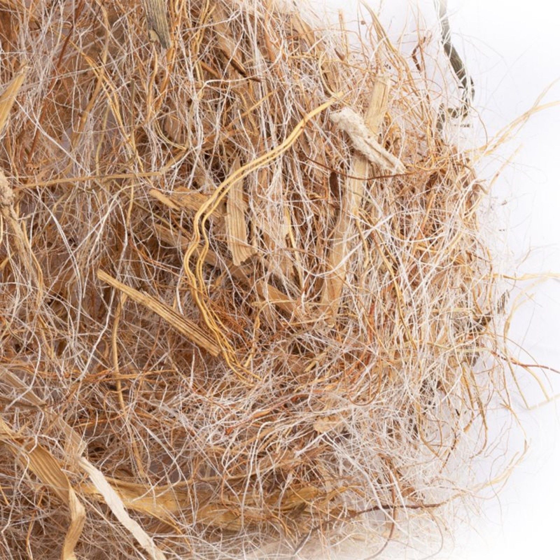 COCO-SISAL-MILHO AGAPORNI500GR