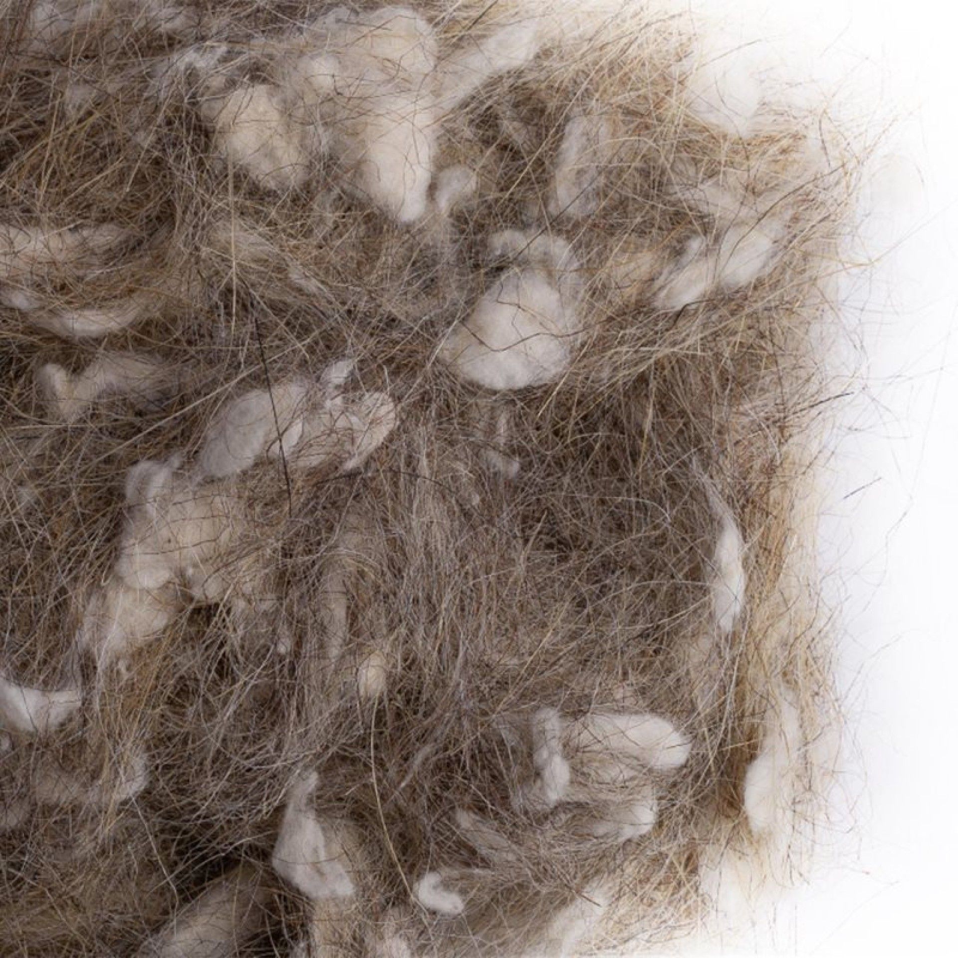 MATERIAL NINHO PELO 50GR MATERIAL NINHO PELO 50GR