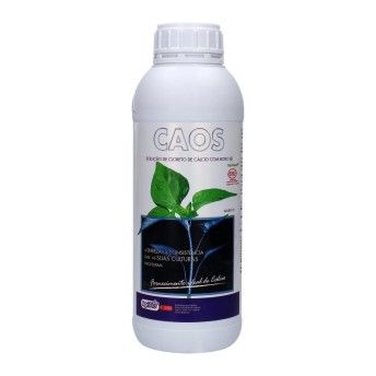 CAOS 1L