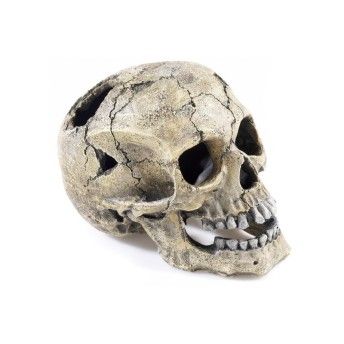 DEC CRACKED SKULL205X135X150MM