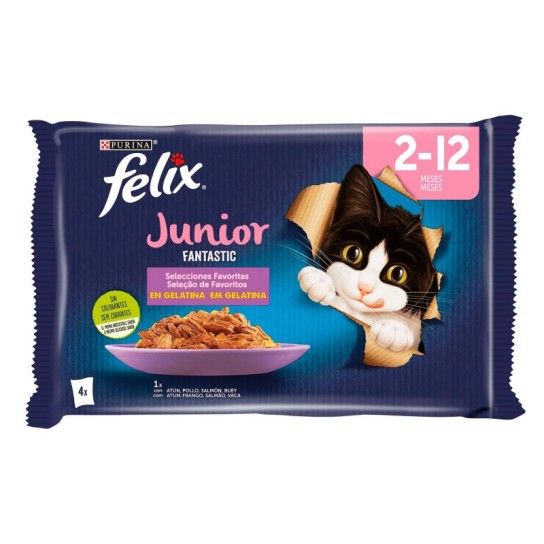 ALIMENTO GATO FANTASTIC JUNIOR 4X85GR