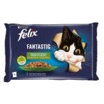 COR �NICA