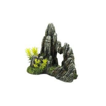 DEC FORMACAO ROCHOSA PLANTAS