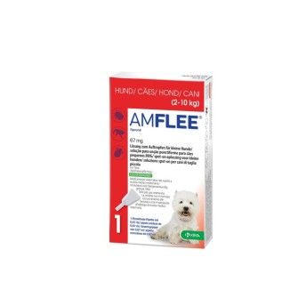 AMFLEE CAES 67MG 1 PIPETA