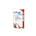AMFLEE COMBO CAO 67 MG 1 PIPETA AMFLEE COMBO CAO 67 MG 1 PIPETA
