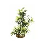 DECORAÇÃO PLANTA AQUÁTICA BRANO/VERDE ESCURO DECORAÇÃO PLANTA AQUÁTICA BRANO/VERDE ESCURO