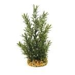 DECORAÇÃO PLANTA AQUÁTICA VERDE MSG ESCURO DECORAÇÃO PLANTA AQUÁTICA VERDE MSG ESCURO