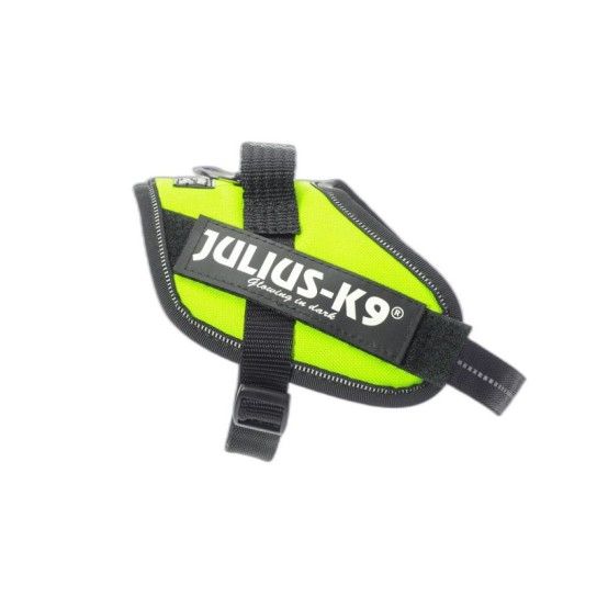 PEITORAL JULIUS K9 MINI NEON