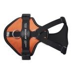 PEITORAL LONGWLK LIGHT LARANJA S PEITORAL LONGWLK LIGHT LARANJA S