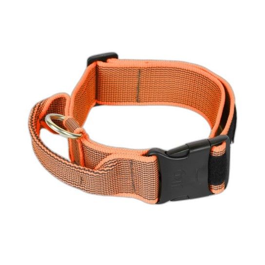 COLEIRA JULIUS 40MM LARANJA S/M COLEIRA JULIUS 40MM LARANJA S/M