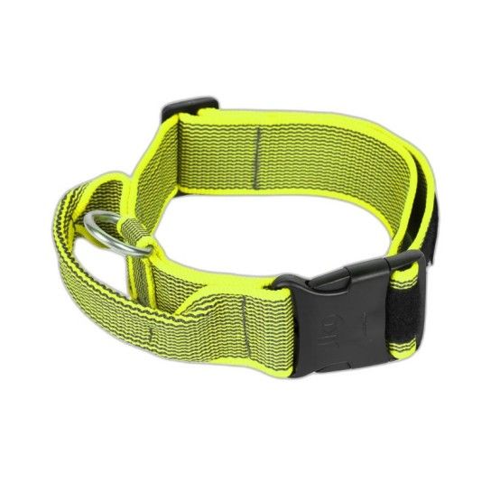 COLEIRA JULIUS 40MM NEON S/M COLEIRA JULIUS 40MM NEON S/M