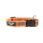 COLEIRA JULIUS LARANJA M/L COLEIRA JULIUS LARANJA M/L