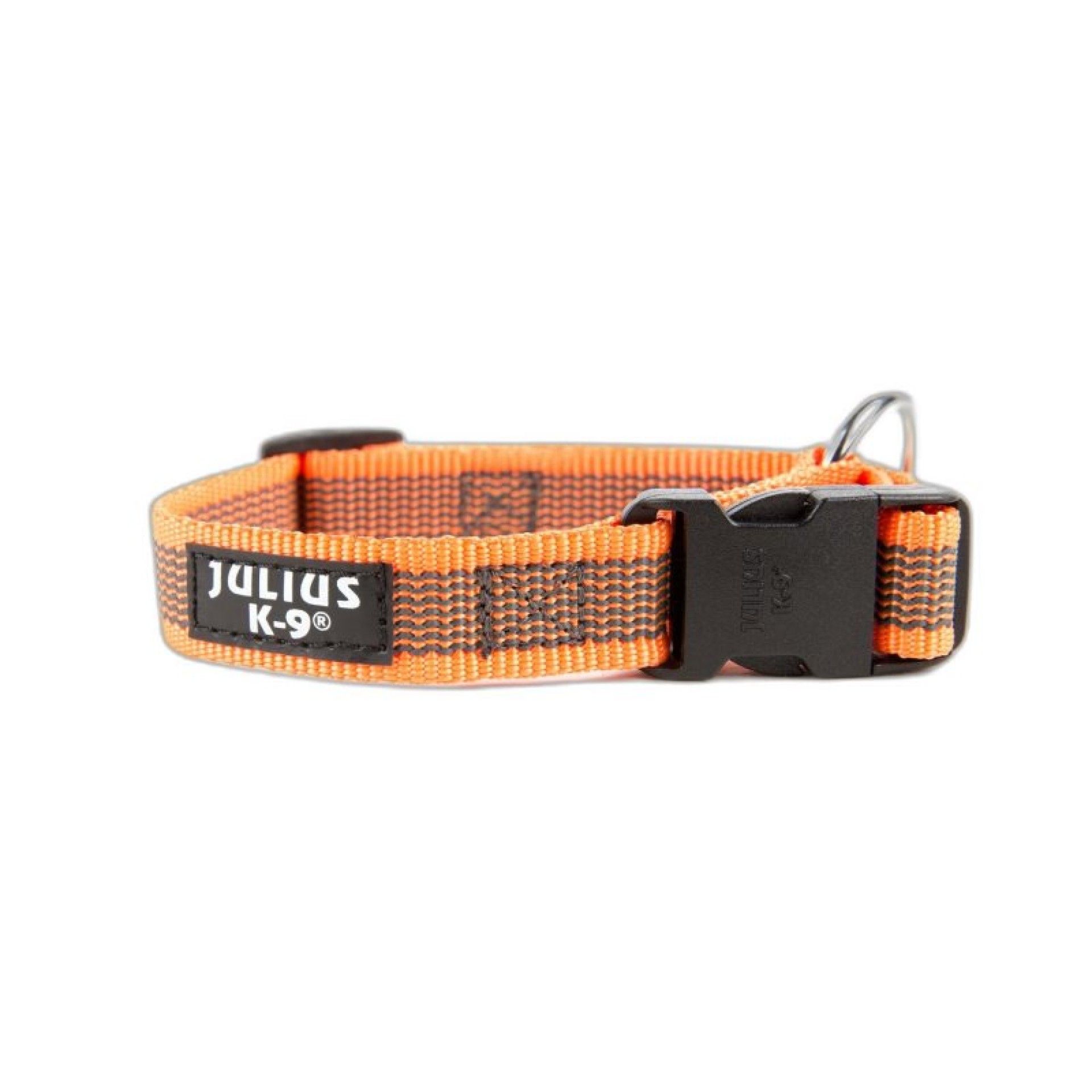 COLEIRA JULIUS LARANJA M/L COLEIRA JULIUS LARANJA M/L