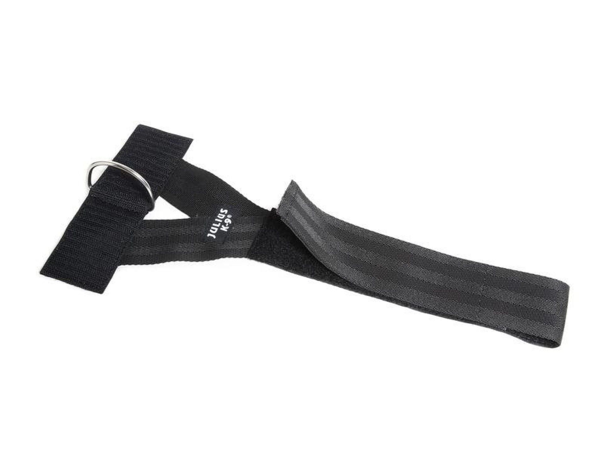 JULIUS EXTR PEIT ARGLA FRONT 0 JULIUS EXTR PEIT ARGLA FRONT 0