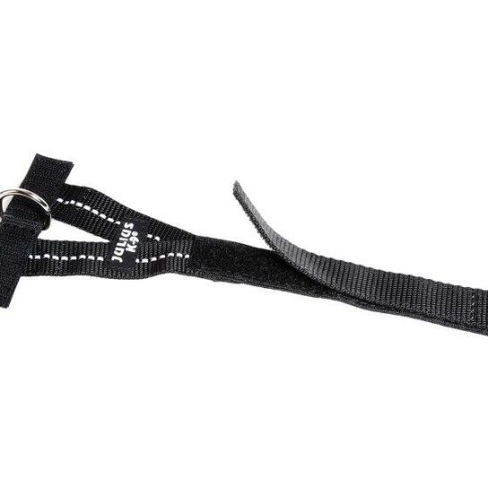 JULIUS EXTR PEIT ARGLA FRONT M JULIUS EXTR PEIT ARGLA FRONT M