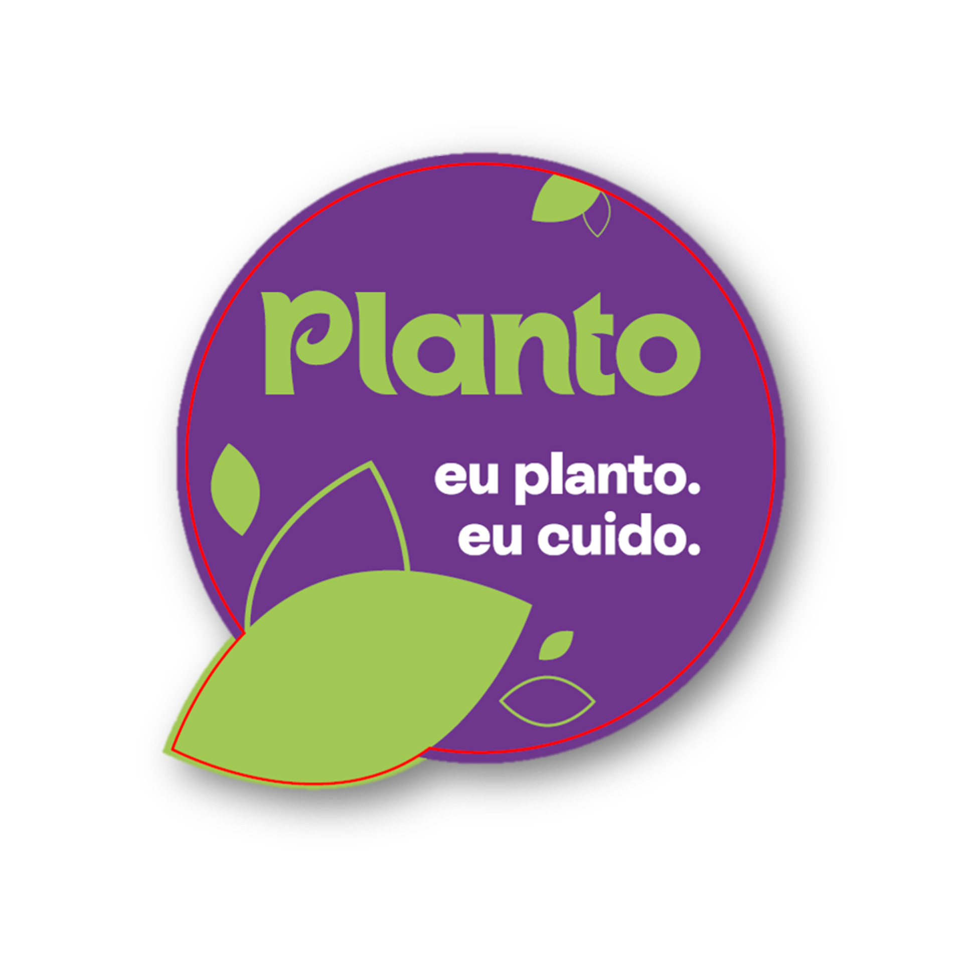 TEIMOSO PLANTO TEIMOSO PLANTO