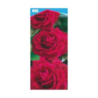 ROSEIRA RARA RED CHARMY