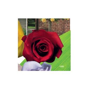 ROSEIRA GRAND STA TERESINHA