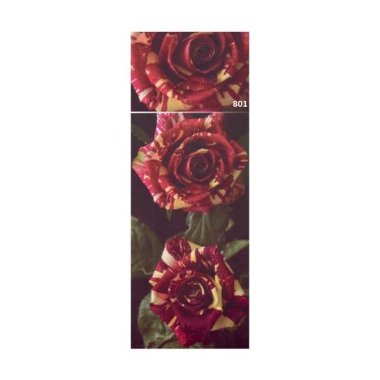 ROSEIRA RARA ABRACADABRA ROSEIRA RARA ABRACADABRA