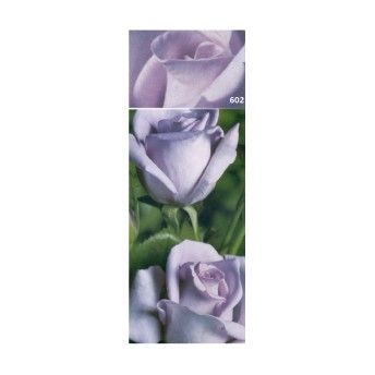 ROSEIRA GRAND NOCHE AZUL