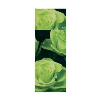 ROSEIRA RARA LEMONADE VRD