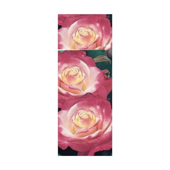 ROSEIRA GRAND HIPPY BICOLOR