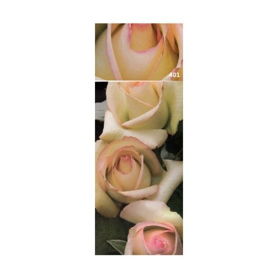 ROSEIRA GRAND MM A MEILL AMA ROSEIRA GRAND MM A MEILL AMA