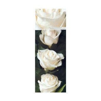 ROSEIRA GRAND QUEEN ELISAB BR