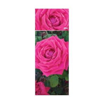 ROSEIRA GRAND JOSEF SALG RS FT