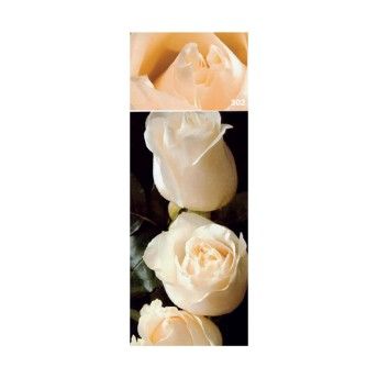 ROSEIRA GRAND CAMELIA BR