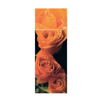 ROSEIRA GRAND DOLCE VITA SALM