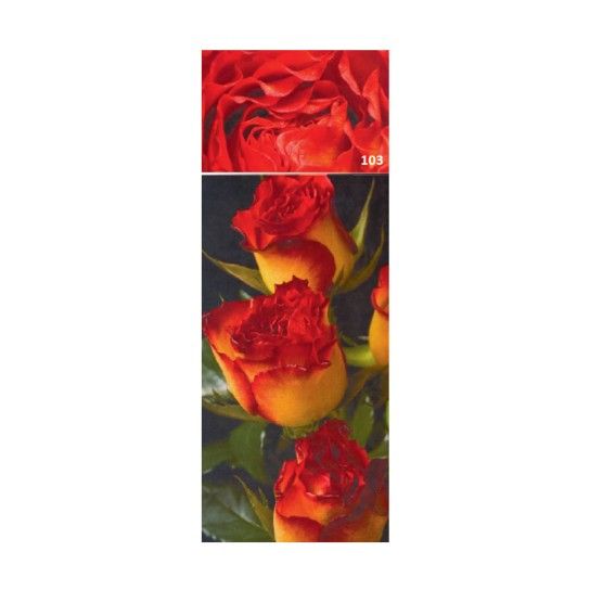 ROSEIRA GRAND ADOLFO H VRM AMA ROSEIRA GRAND ADOLFO H VRM AMA
