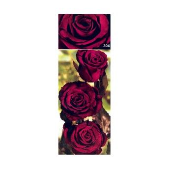 ROSEIRA GRAND PERLA NEGRA